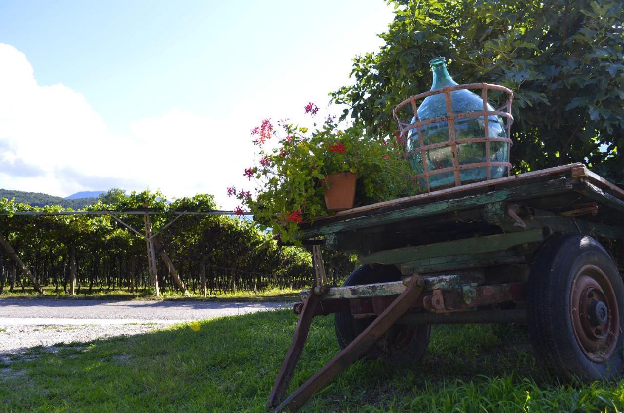 アーラ Ca Ulivi Bed & Breakfast エクステリア 写真