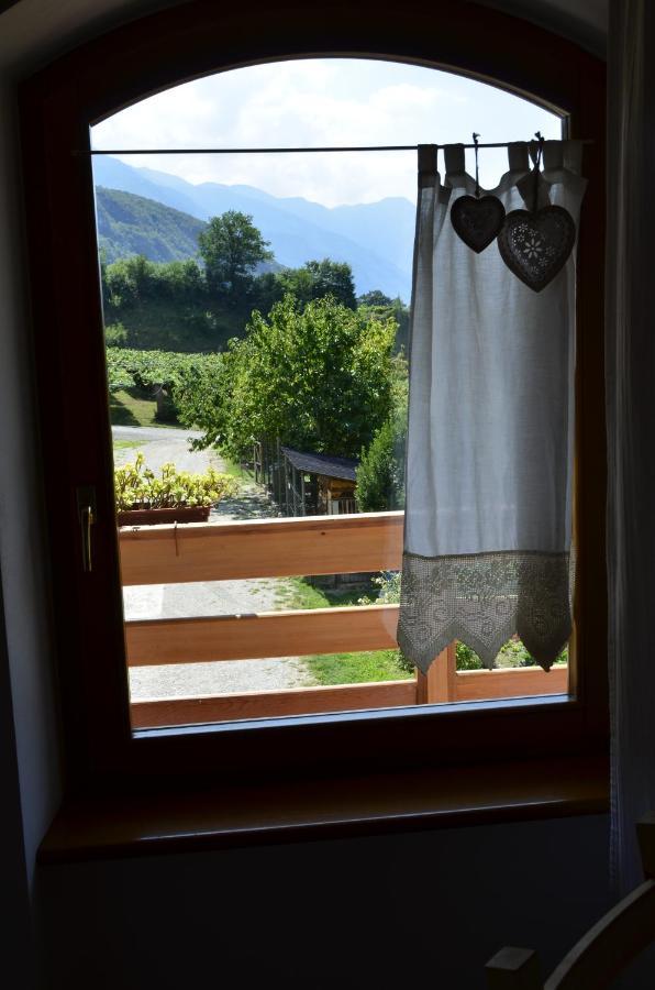 アーラ Ca Ulivi Bed & Breakfast エクステリア 写真